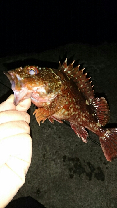 渋いアフターメバリング