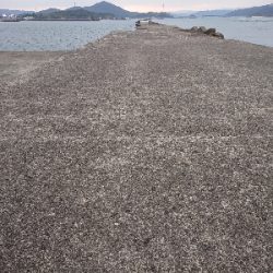 あけおめ、初釣果!