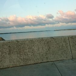 アジングに・・・