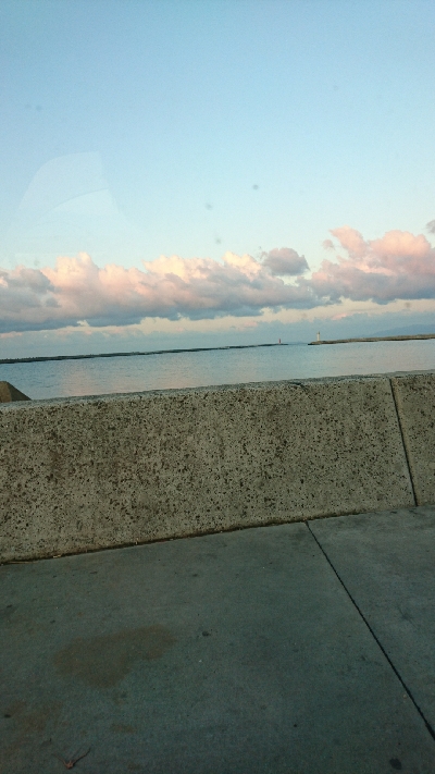 アジングに・・・