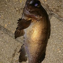 メバリング修行