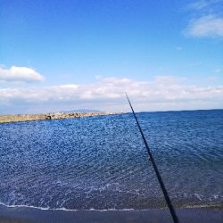今年の釣り初めはソゲ
