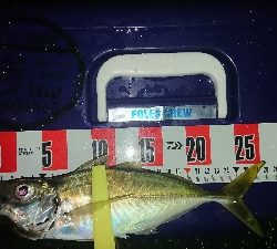 久々に満足、満足