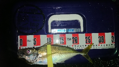 久々に満足、満足