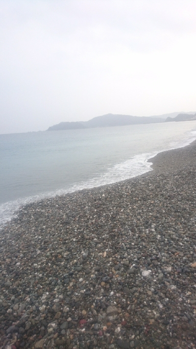 仁淀川河口サーフショアジギング