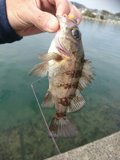 久しぶりの地元