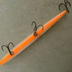 全てダイワショアラインシャイナーでの釣果