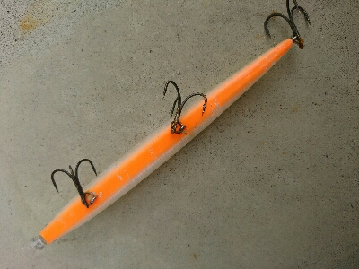 全てダイワショアラインシャイナーでの釣果