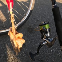 ファーストフィッシュ!