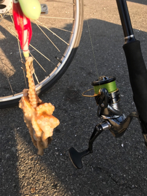 ファーストフィッシュ!