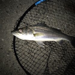 2日目（その2）プチ爆