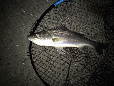 2日目（その2）プチ爆