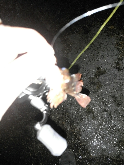 ライトゲームランガン