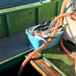 孝洋丸 落とし込み