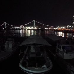 初釣り メバリング