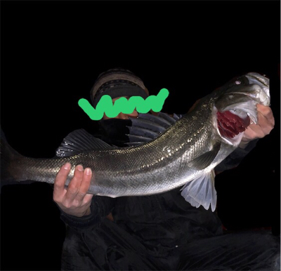 やっちまったな