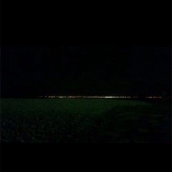 2019年初メバリング