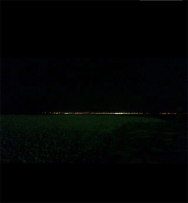 2019年初メバリング