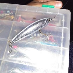 【須磨】冬でも連日陸っぱり良型タチウオ釣れた!