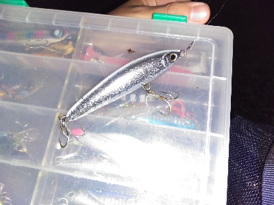 【須磨】冬でも連日陸っぱり良型タチウオ釣れた!