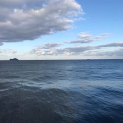 半年ぶりの釣り