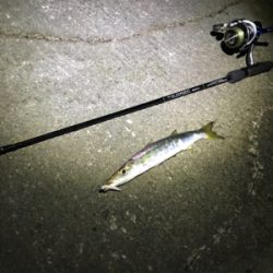 サーフアジング