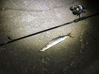 サーフアジング