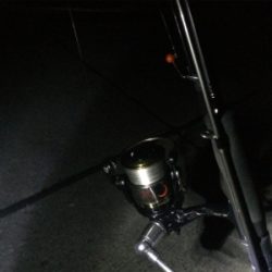 アジングタックルでメバリング