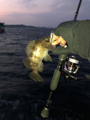 平成31年初釣り！