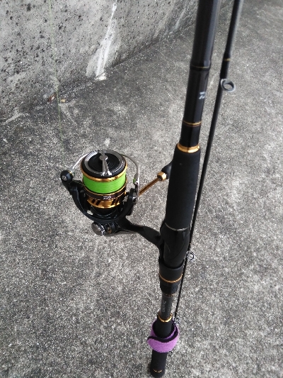 2019　初釣りはガシラ