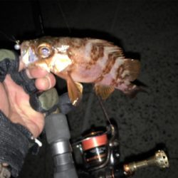 正月休みを利用して遠征