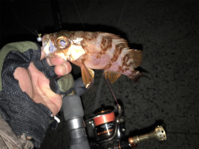 正月休みを利用して遠征