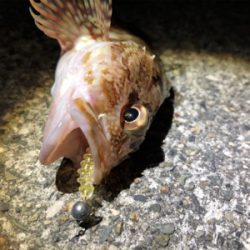 アジング終了?!