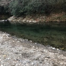 トラウトフィッシング