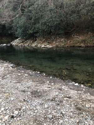 トラウトフィッシング