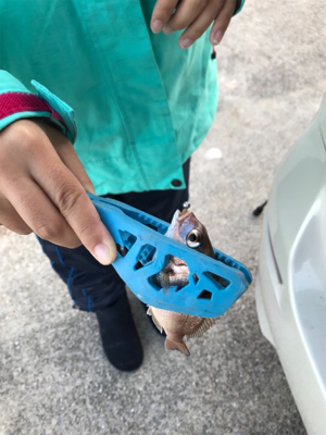 栖本ライトゲーム