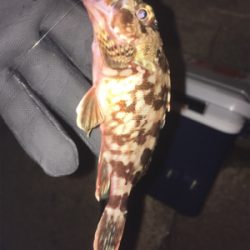 つめたい海でした