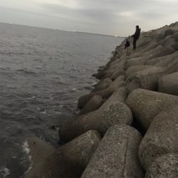 アジング&ライトショアジギング