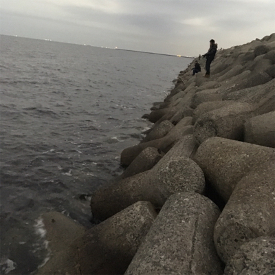 アジング&ライトショアジギング