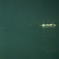 仕事終わりにタコ狙い