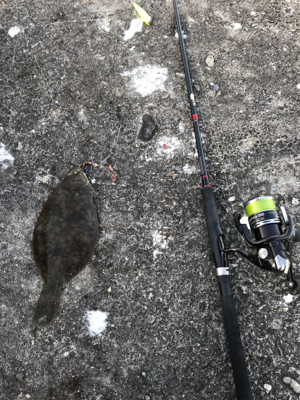 岸和田一文字でカレイ!