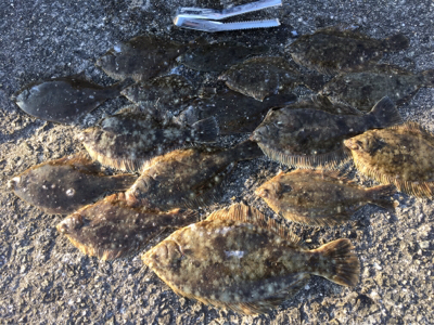 カレイ爆釣!!!!2