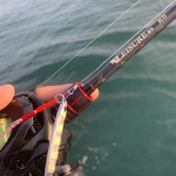 新年初フィーーーーッシュは!?