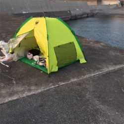 年明けも。。。。