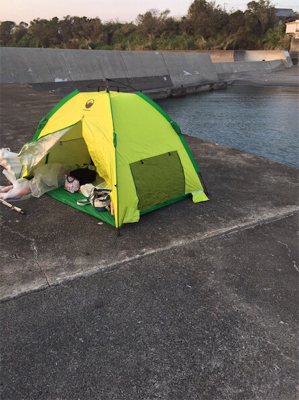 年明けも。。。。