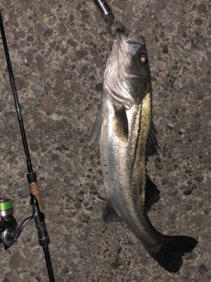 ランカーGET 自己記録更新