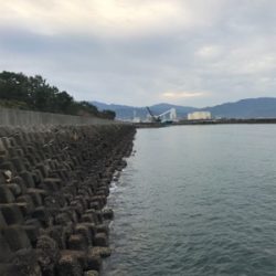 メバリングのはずが。。。。。。