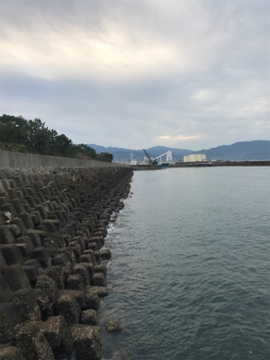 メバリングのはずが。。。。。。