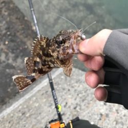 樋合新港ライトゲーム