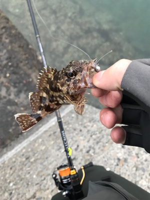 樋合新港ライトゲーム